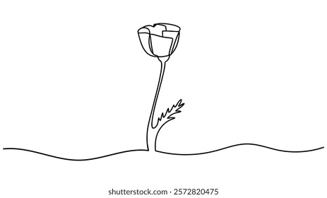 Poppy flower continuous one line drawing, Poppy flowers in continuous line art drawing style. Doodle floral border with two flowers blooming among grass.