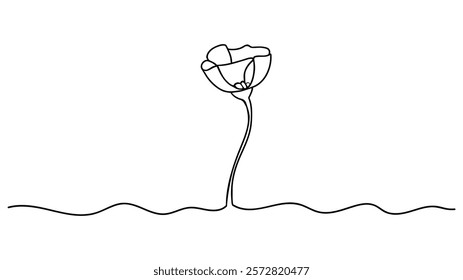 Poppy flower continuous one line drawing, Poppy flowers in continuous line art drawing style. Doodle floral border with two flowers blooming among grass.