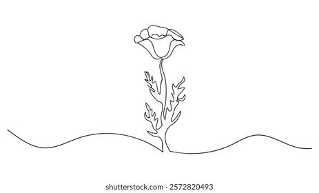 Poppy flower continuous one line drawing, Poppy flowers in continuous line art drawing style. Doodle floral border with two flowers blooming among grass.