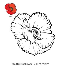 Poppy - Mohnblumen-Design-Vektorillustration für Malbuch