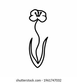 Poppy flower in doodle style. Vector illustration by hand.