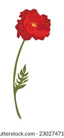 Poppy Flower Element Illustration. Vector red poppies isolated on a white background.
