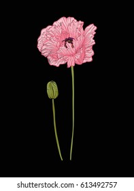Poppy flower for embroidery in botanical illustration style on a black background. Stock vector illustration. 