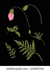 Poppy flower for embroidery in botanical illustration style on a black background. Stock vector illustration. 