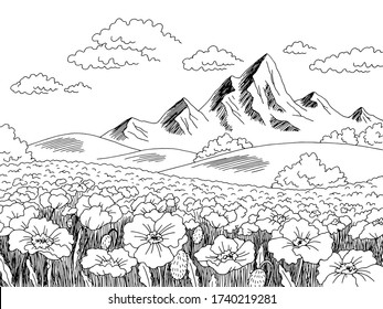 Poppy flower field graphic black white landscape sketch illustration vector