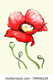 Poppy flower with a girl face inside. Vector concept illustration.