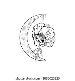 Poppy flower and half moon hand drawn vector illustration