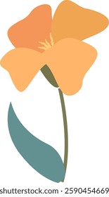 Poppy Flower Hand Drawn Vector Illustration