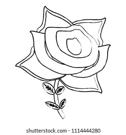poppy flower icon 