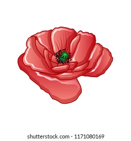 Poppy flower icon. Cartoon of poppy flower vector icon for web design isolated on white background