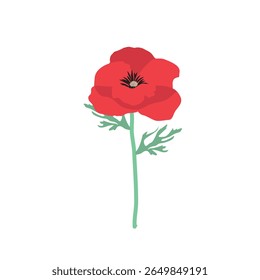 Poppy flower icon flower. hand drawn botany