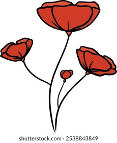 Poppy flower illustration red bloom floral