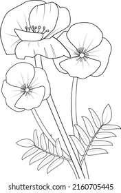 poppy flower line art design for coloring pages