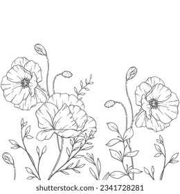 Poppy Flower Line Art, Fine Line Poppy Bouquets Hand Drawn Illustration. Coloring Page with Flowers. 