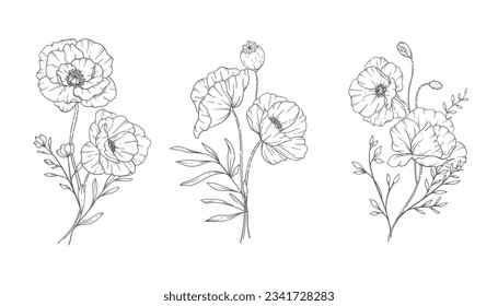 Poppy Flower Line Art, Fine Line Poppy Bouquets Hand Drawn Illustration. Coloring Page with Flowers. 