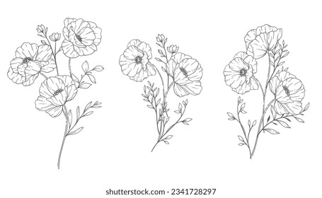 Poppy Flower Line Art, Fine Line Poppy Bouquets Hand Drawn Illustration. Coloring Page with Flowers. 