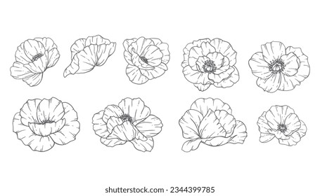 Poppy Flower Line Art, Fine Line Poppy Bouquets Hand Drawn Illustration. Coloring Page with Flowers. 