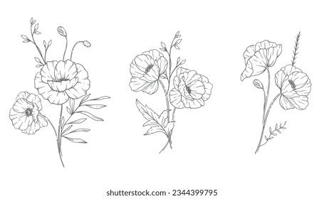 Línea De Flores De Adormidera, Apetitosas Ramblas De Adormidera E Ilustración Dibujada. Colorear página con flores. 