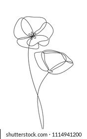 Poppy flower line art  Minimalist contour drawing  One line artwork