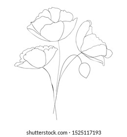 Poppy flower line art. Minimalist contour drawing. Continuous one line drawing artwork - vector illustration eps10
