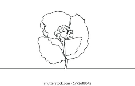 Poppy flower line art. Minimalist contour drawing. One line artwork.