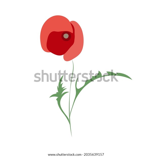 Poppy Flower Line Drawing Wildflowers Outline Stock Vector (Royalty ...