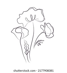 Poppy flower  Minimalist contour drawing. One line, continuous line art design logo decoration