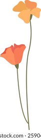 Poppy Flower On Stem Vector Illustration