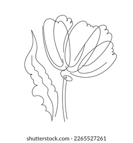 Poppy flower one continuous line art. Decoration blossom botanical floral element. Vector doodle isilated illustration.