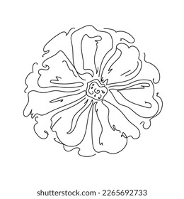 La flor de amapola es un arte de línea continua. La decoración florece con elementos florales botánicos. Ilustración de doodle vectorial.