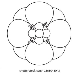 poppy flower outline drawing. vector illustration