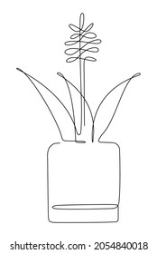Poppy flower in the pot line art. Minimalist contour drawing. One line artwork