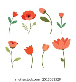 Poppy flower set isolated flat vector illustration on white background
