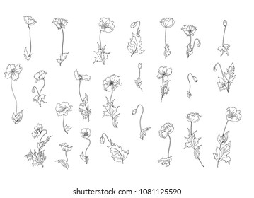 poppy flower set vector.outline poppies flower.Silhouette and doodle art Poppies flower