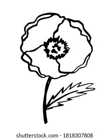 Poppy flower, stem and leaf isolated on white background. Element of nature, field plants. Simple vector freehand drawing in black outline.