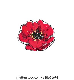 Poppy flower tattoo. Vector hand drawn illustration