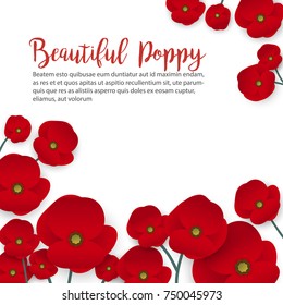 A poppy flower vector