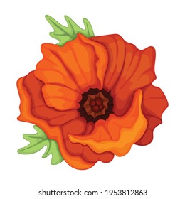 Poppy Cartoon Hd Stock Images Shutterstock