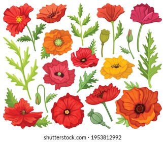 Poppy Cartoon Hd Stock Images Shutterstock