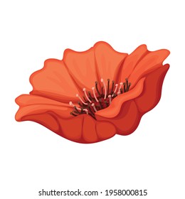 Poppy Cartoon Hd Stock Images Shutterstock