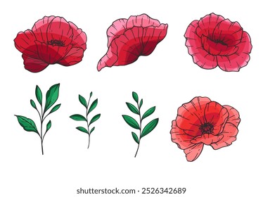 Ilustración vectorial de flor de amapola. Amapolas rojas sobre fondo blanco. Diseño del día del recuerdo. Fondo botánico de flores silvestres coloridas de moda. Plantilla de fondo floral dibujado a mano. Ramo de amapola. 