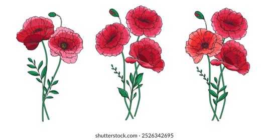 Ilustración vectorial de flor de amapola. Amapolas rojas sobre fondo blanco. Diseño del día del recuerdo. Fondo botánico de flores silvestres coloridas de moda. Plantilla de fondo floral dibujado a mano. Ramo de amapola. 