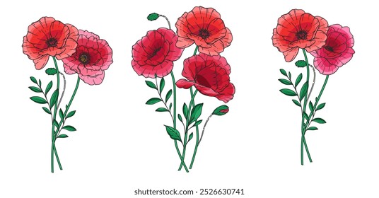 Ilustración vectorial de flor de amapola. Amapolas rojas sobre fondo blanco. Diseño del día del recuerdo. Fondo botánico de flores silvestres coloridas de moda. Plantilla de fondo floral dibujado a mano. Ramo de amapola. 