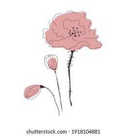 Poppy flower. Vector lineart. Minimalist contour drawing. Artwork for banner, book design, web illustration, cards.