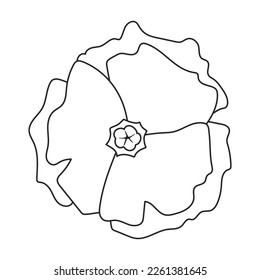 Poppy flower vector outline icon. Vector illustration poppy on white background. Isolated outline illustration icon of elower.