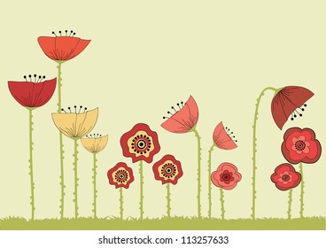 Poppy flowers