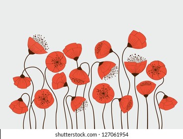 Poppy flowers