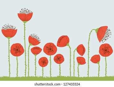 Poppy flowers