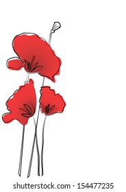 Poppy flowers