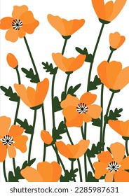 Flores de amapola fondo.Eps 10 vector.